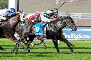 SPEED MACHINE SHOWS GRIT 